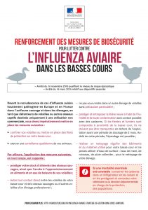 Affiche grippe aviaire