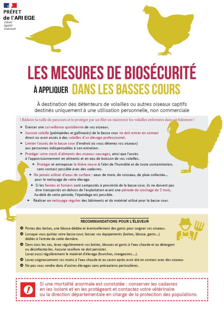 Info
